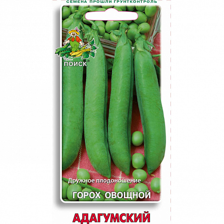 Горох овощной Адагумский фото Горох овощной Адагумский 
